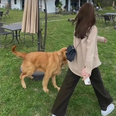 拜见宫主大人2